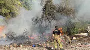 Mudanya'da ormanlık alanda terk edilen ateş faciaya davetiye çıkardı