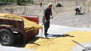 Yozgatlı çiftin 41 yıllık emeği: Odun ateşinde geleneksel bulgur üretimi