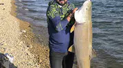 Keban Barajı'nda amatör balıkçının oltasına takılan dev turna şaşkınlık yarattı