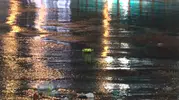 Ankara'da gece yarısı kabusu: Sağanak yağışla taşan kanalizasyon evleri bastı