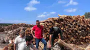 İskenderun Sahil Orman Deposu'nda dijital takip dönemi mercek altında
