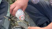 Elazığ'da alevlerin ortasında kalan kaplumbağaya vatandaş şefkati