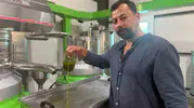 İznik'in altın değerindeki ilk hasadı Avrupa sofralarına taşınıyor