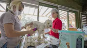 Mersin'de gönüllü kuaförlerden barınaktaki köpeklere özel bakım desteği
