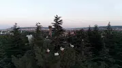 Eskişehir semalarında leylek göçü: Uzun yolculukta mola verdiler