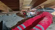 Telef olan eşinin başından ayrılmayan peçeli baykuş için kurtarma operasyonu