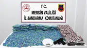 Erdemli'de jandarma operasyonu: 70 bin uyuşturucu hap ele geçirildi