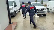 Bolu Belediyesi kooperatifindeki zimmet soruşturmasında ilk serbest bırakılmalar gerçekleşti