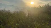 Sındırgı'da otluk alanda çıkan yangın ekiplerin hızlı müdahalesiyle büyümeden söndürüldü