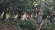 Erfelek'te tellere sıkışan sincabın imdadına ekipler yetişti