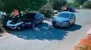 Bodrum'da vicdansız sürücü yolda yatan köpekleri ezip yoluna devam etti