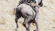 Ankara TMO Spor Kulübü Erzincan'daki zorlu cirit mücadelesinden yarı final biletini kaptı