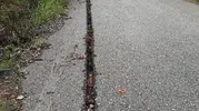 Alaplı'da fiber altyapı mağduriyeti: Kazılan yollar kaderine terk edildi