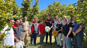 Erzincan Kemah'ta şaşırtan tarım denemesi: Fındık bahçesinde hasat heyecanı