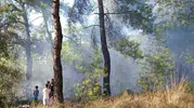 Köyceğiz'de ormanlık alanda çıkan yangın büyümeden söndürüldü