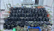Mahmudiye’de yasaklı madde operasyonu: 1 tutuklama