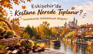 Eskişehir’de Kestane Nerede Toplanır? Sonbaharda Gidilebilecek Bölgeler
