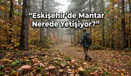 Eskişehir’de Mantar Nerede Yetişiyor? Ormana Gidecekler Dikkat