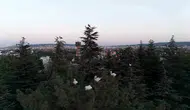Eskişehir’de göç yolundaki leylekler havadan görüntülendi