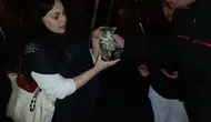 Harşit Çayı'nda ölümden dönen yavru kediye mahalleli sahip çıktı
