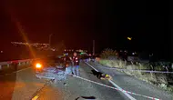 Elazığ-Pertek karayolunda feci kaza: Yolun karşısına geçmek isterken canından oldu