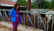 Evciler'de üretim standartlarını belirlemek için kapsamlı saha denetimi