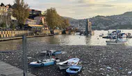Zonguldak Limanı'nda sağanak sonrası plastik istilası