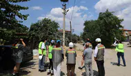 Ege'nin gökyüzünde kuşlar için yeni dönem: Elektrik hatları bilimle güvenli hale getiriliyor