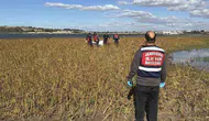 Meriç Nehri kıyısında cansız beden bulundu: Kimlik tespiti için çalışma başlatıldı