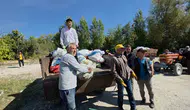 Domaniçli ceviz üreticisi kooperatif ve tesis yokluğu nedeniyle değer kaybı yaşıyor