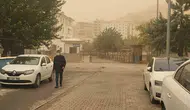 Şanlıurfa'da toz taşınımı hayatı durma noktasına getirdi
