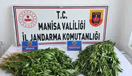 Manisa'da dört ilçeyi kapsayan uyuşturucu operasyonunda büyük vurgun