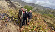 Üzümlü'de bağcılık mesaisi: Kaymakam Hökelekli üretim sahasına indi