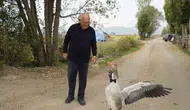 Sürüden dışlanan Junior'ın yeni yuvası İsmail dedenin yanı oldu