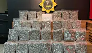 Şanlıurfa'da şehirlerarası otobüste narkotik operasyonu: 16 kilo skunk ele geçirildi