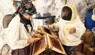 Muğla'da çam balı üreticileri sahte ürünlerin piyasayı bozmasından dertli