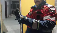 Hassa'da yerleşim alanına giren yılan itfaiye operasyonuyla kurtarıldı