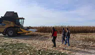 Karapınar'da mısır hasadında kayıpları önlemek için biçerdöver denetimi