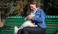 Eskişehir’de 8 Bine Yakın Köpek Koruma Altında