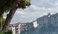 Düğün sevinci okul bahçesini küle çeviriyordu: Havai fişek çam ağacını tutuşturdu, kreşteki çocuklar tehlike atlattı