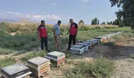 Antakya'da Bal Hasadı Sürüyor: Müdür Türkmen Üreticiyi Yalnız Bırakmadı