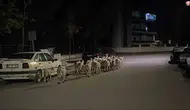 Çorum'da ağılın kapısını kıran koyunlar mahallede kısa süreli panik yarattı