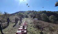 Zonguldak ormanlarında sülün popülasyonunu artırmak için yeni adım