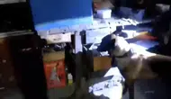 Tokat'ta yasa dışı silah ticaretine jandarma darbesi: 11 şüpheli yakalandı