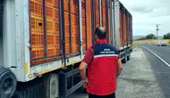 Uşak yollarında hayvan sağlığı için sıkı denetim mesaisi