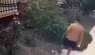 İzmir'de köpeğini gezdiren şahıstan yavrulu kediye vahşi saldırı