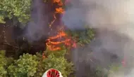 Antalya Aksu'da ormanlık alanda alevlerle yoğun mücadele