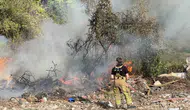 Mudanya'da ormanlık alanda terk edilen ateş faciaya davetiye çıkardı