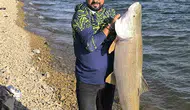 Keban Barajı'nda amatör balıkçının oltasına takılan dev turna şaşkınlık yarattı