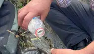 Elazığ'da alevlerin ortasında kalan kaplumbağaya vatandaş şefkati